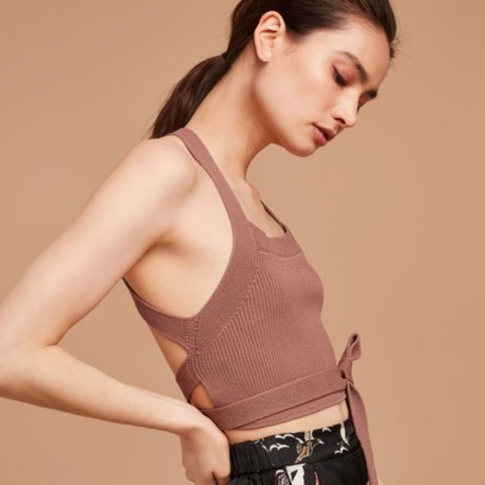 Aritzia Cayenne Knit Top